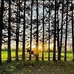 Domaine Des Cypres Bed & Breakfast Saint-Sauveur-Villages