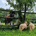 Bed & Breakfast Domaine Des Cypres 3*