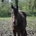 Domaine Des Cypres Bed & Breakfast