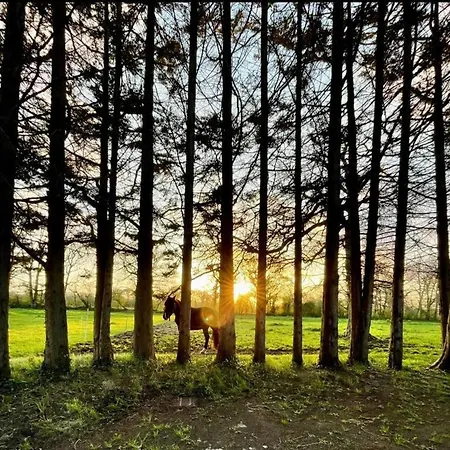 Domaine Des Cypres Bed & Breakfast Saint-Sauveur-Villages