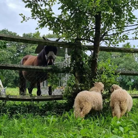 Bed & Breakfast Domaine Des Cypres 3*