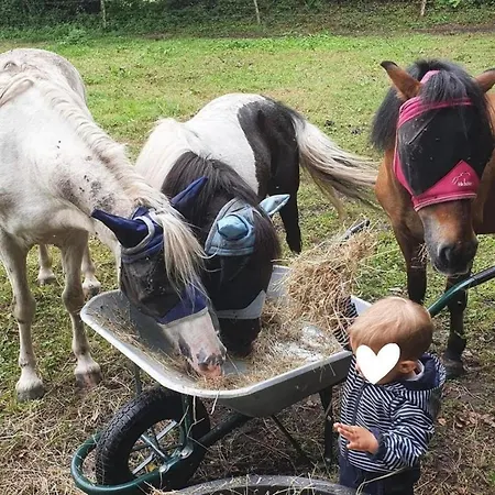 Domaine Des Cypres 3*