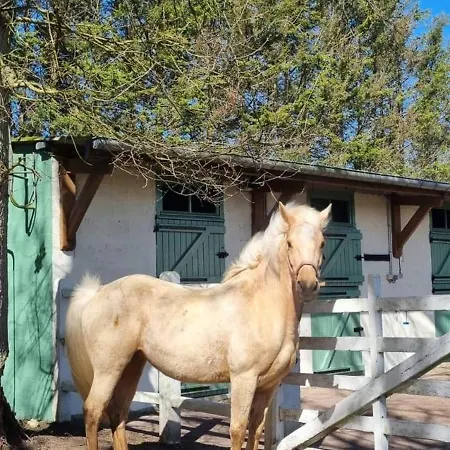 Panzió Domaine Des Cypres