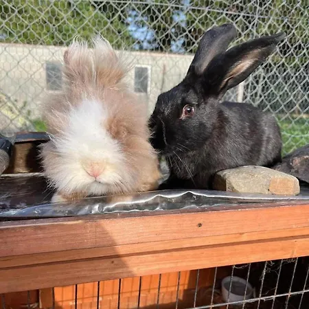 Panzió Domaine Des Cypres Saint-Sauveur-Villages