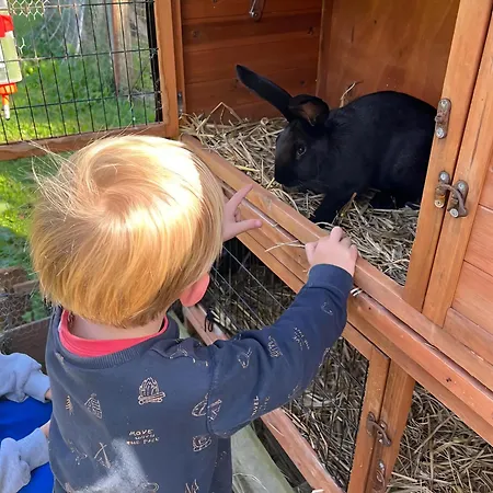 Domaine Des Cypres Panzió 3*