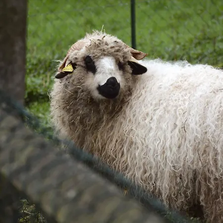Alojamento de Acomodação e Pequeno-almoço Domaine Des Cypres 3*