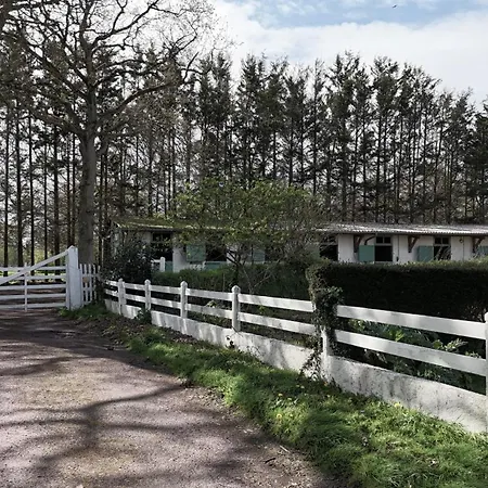 Bed & Breakfast Domaine Des Cypres