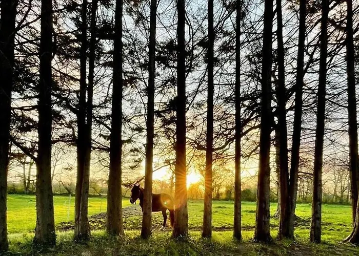 Domaine Des Cyprès Couette-café Saint-Sauveur-Villages