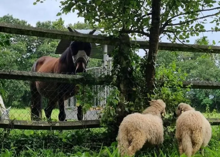 Couette-café Domaine Des Cyprès 3*