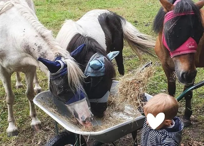 Domaine Des Cyprès 3*