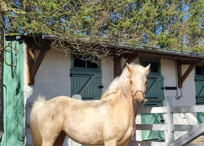 Couette-café Domaine Des Cyprès