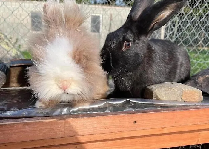Alojamento de Acomodação e Pequeno-almoço Domaine Des Cypres Saint-Sauveur-Villages