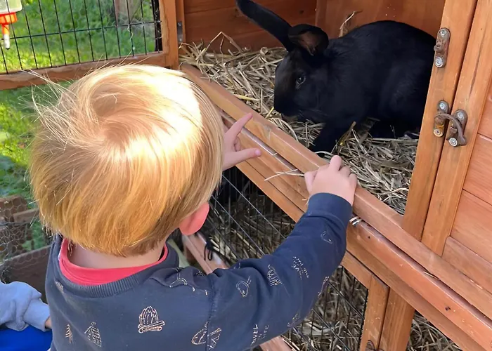 Domaine Des Cyprès Couette-café 3*