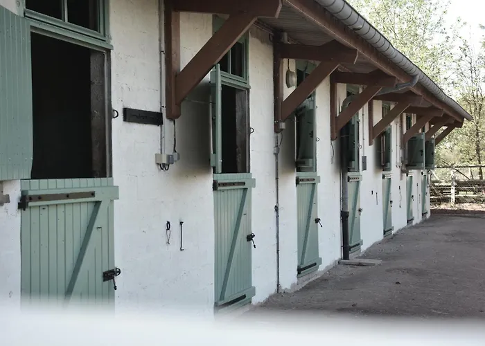 Alojamento de Acomodação e Pequeno-almoço Domaine Des Cypres 3*