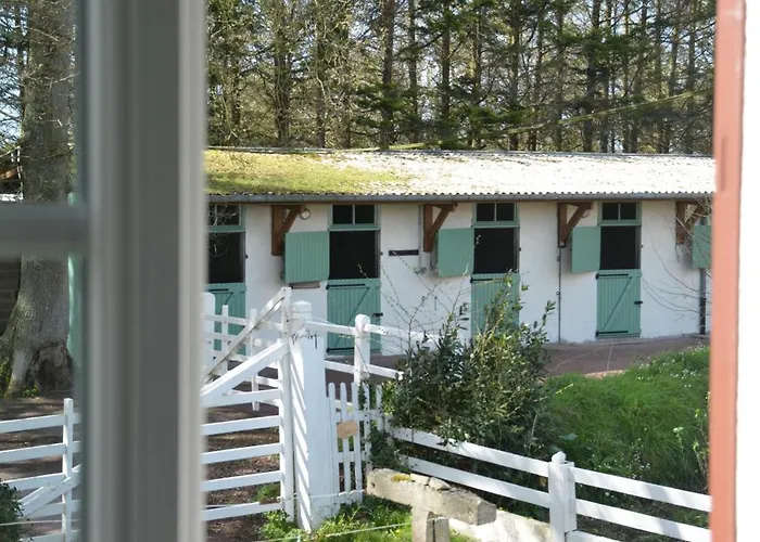 Bed & Breakfast Domaine Des Cypres 3*